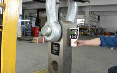 Safe Limit Load Monitoring