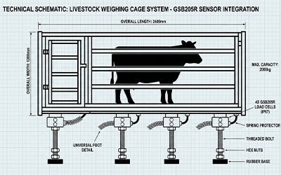 Livestock Animal Scales